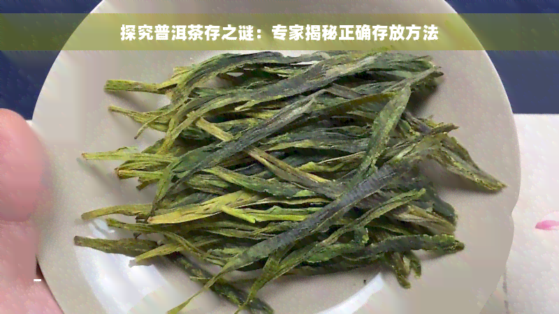 探究普洱茶存之谜：专家揭秘正确存放方法