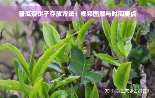 普洱茶饼子存放方法：视频图解与时间要点