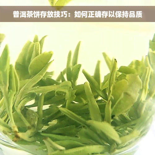 普洱茶饼存放技巧：如何正确存以保持品质