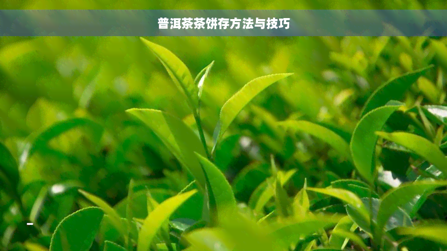 普洱茶茶饼存方法与技巧