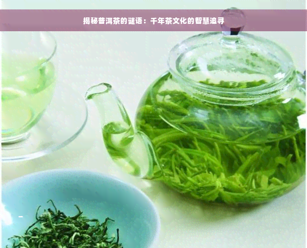 揭秘普洱茶的谜语：千年茶文化的智慧追寻