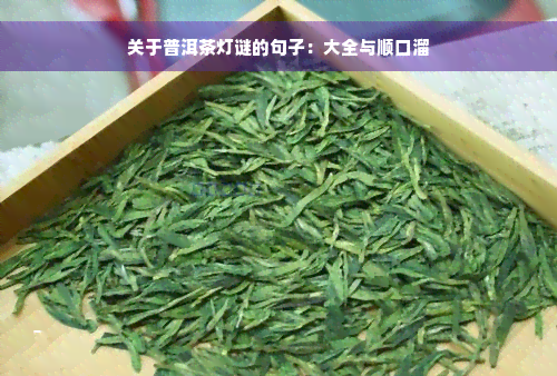 关于普洱茶灯谜的句子：大全与顺口溜