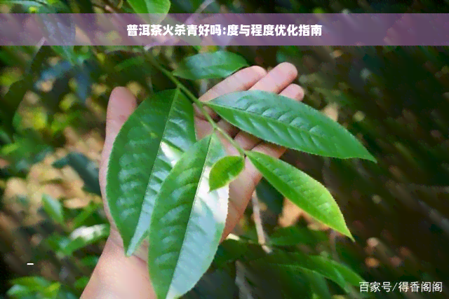 普洱茶火杀青好吗:度与程度优化指南