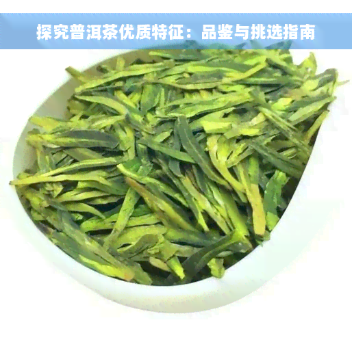 探究普洱茶优质特征：品鉴与挑选指南