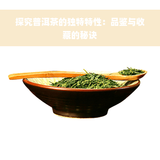 探究普洱茶的独特特性：品鉴与收藏的秘诀