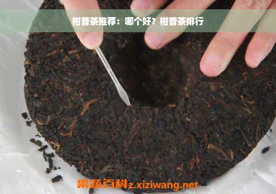 柑普茶推荐：哪个好？柑普茶排行