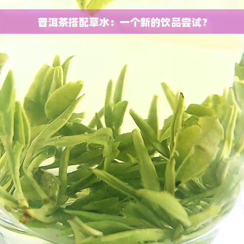 普洱茶搭配草水：一个新的饮品尝试？