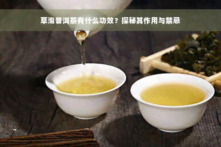 草泡普洱茶有什么功效？探秘其作用与禁忌