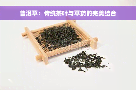 普洱草：传统茶叶与草药的完美结合