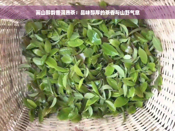 高山醇韵普洱熟茶：品味醇厚的茶香与山野气息