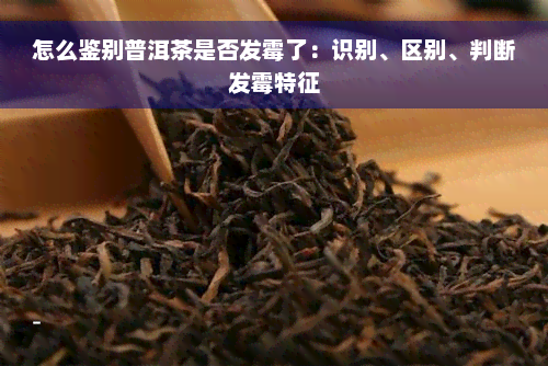 怎么鉴别普洱茶是否发霉了：识别、区别、判断发霉特征