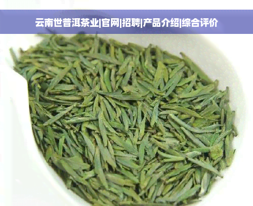 云南世普洱茶业|官网|招聘|产品介绍|综合评价