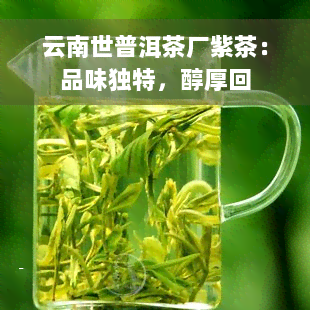 云南世普洱茶厂紫茶：品味独特，醇厚回