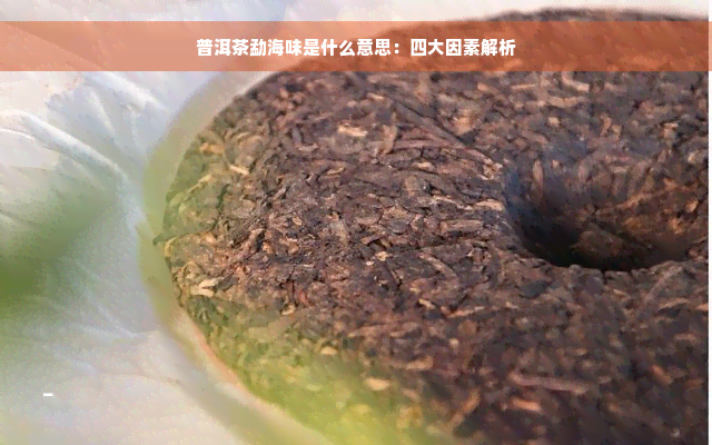 普洱茶勐海味是什么意思：四大因素解析