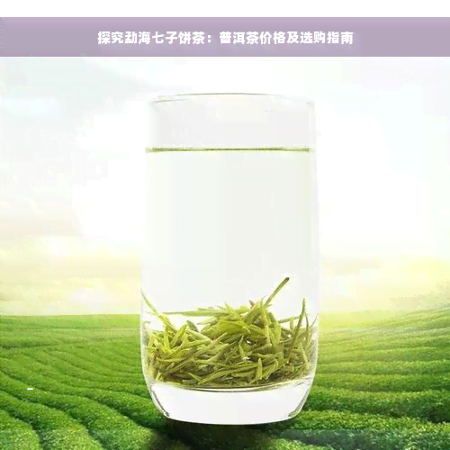 探究勐海七子饼茶：普洱茶价格及选购指南