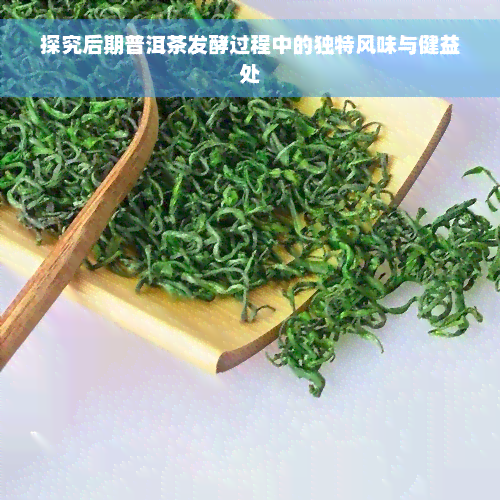 探究后期普洱茶发酵过程中的独特风味与健益处