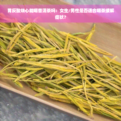 胃反酸烧心能喝普洱茶吗：女生/男性是否适合喝茶缓解症状？