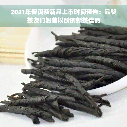 2021年普洱茶新品上市时间预告：品鉴茶友们翘首以盼的新茶佳品