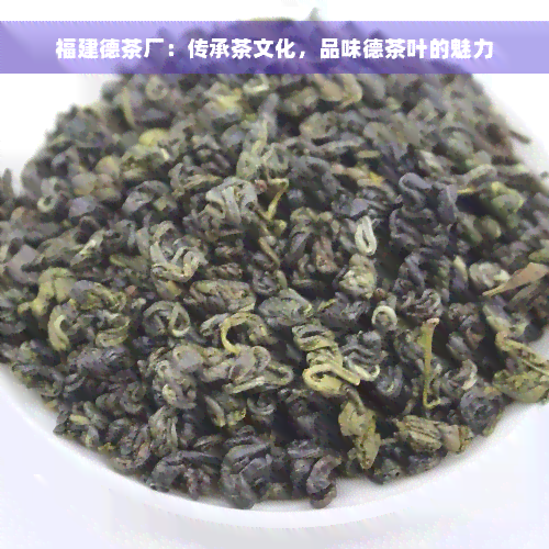 福建德茶厂：传承茶文化，品味德茶叶的魅力