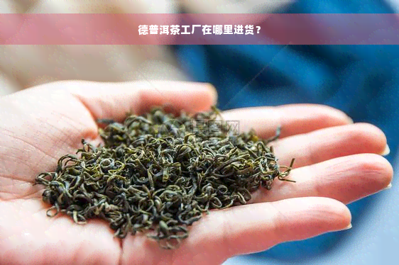 德普洱茶工厂在哪里进货？