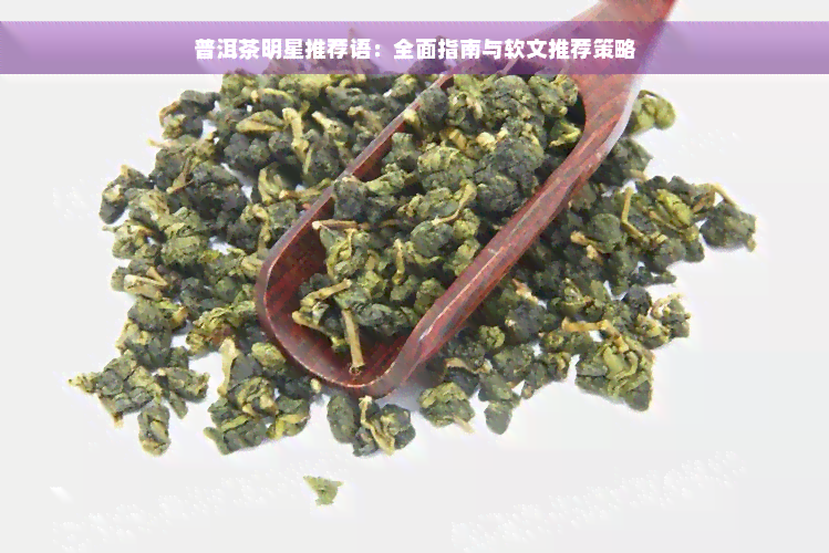 普洱茶明星推荐语：全面指南与软文推荐策略