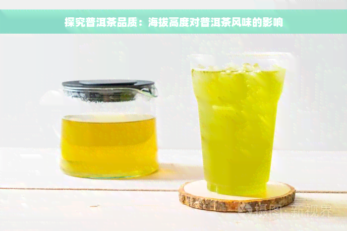 探究普洱茶品质：海拔高度对普洱茶风味的影响