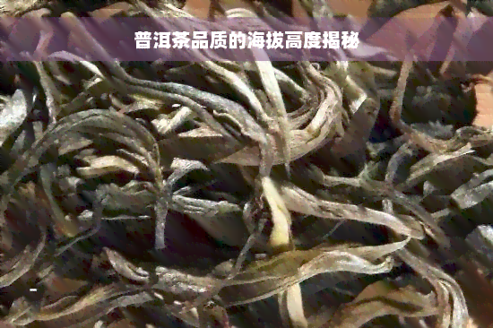 普洱茶品质的海拔高度揭秘