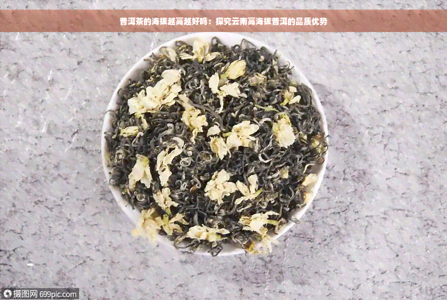 普洱茶的海拔越高越好吗：探究云南高海拔普洱的品质优势