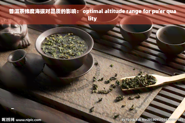 普洱茶纬度海拔对品质的影响： optimal altitude range for pu'er quality