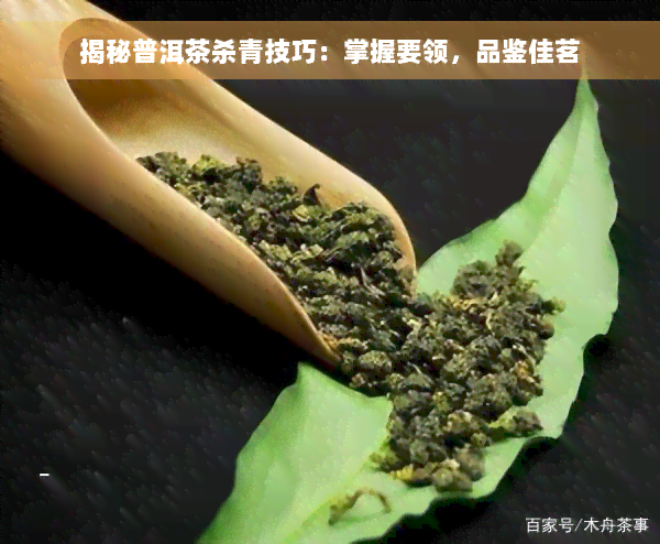 揭秘普洱茶杀青技巧：掌握要领，品鉴佳茗