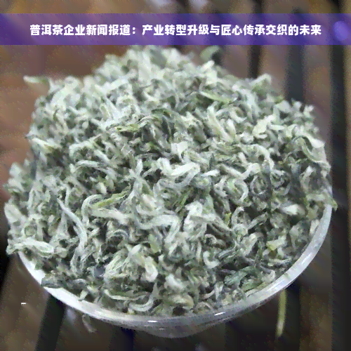 普洱茶企业新闻报道：产业转型升级与匠心传承交织的未来