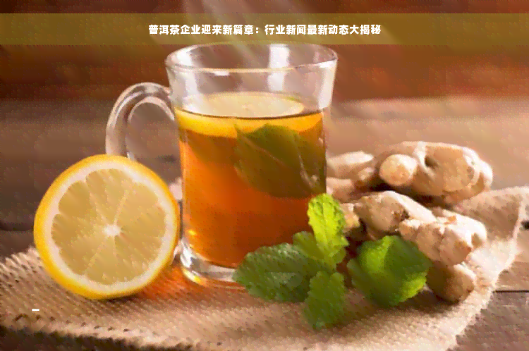 普洱茶企业迎来新篇章：行业新闻最新动态大揭秘