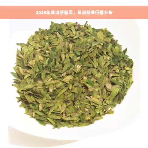 2020年普洱茶新闻：普洱茶业行情分析