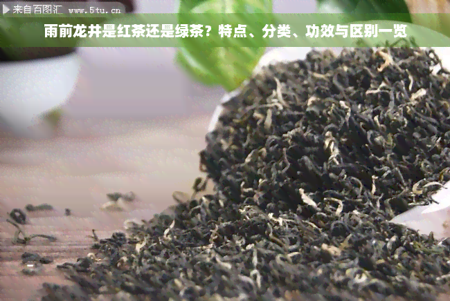 雨前龙井是红茶还是绿茶？特点、分类、功效与区别一览