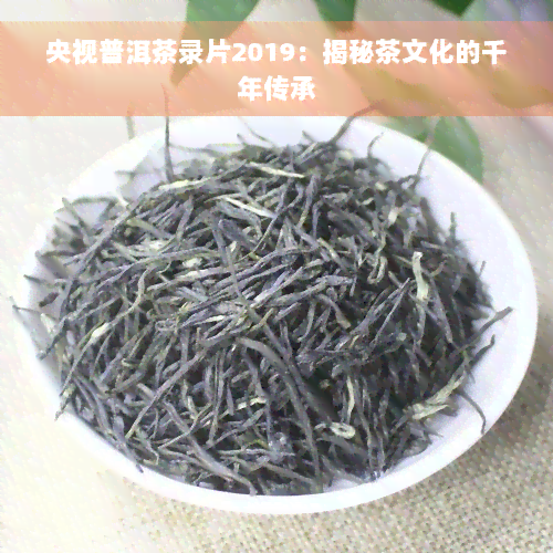 央视普洱茶录片2019：揭秘茶文化的千年传承