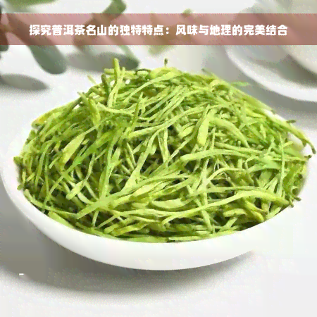 探究普洱茶名山的独特特点：风味与地理的完美结合