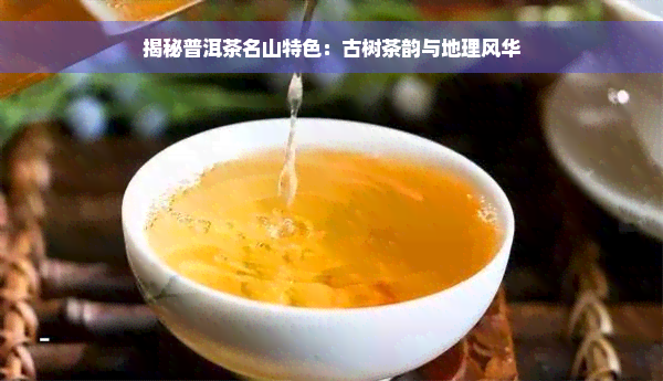 揭秘普洱茶名山特色：古树茶韵与地理风华