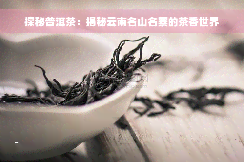 探秘普洱茶：揭秘云南名山名寨的茶香世界