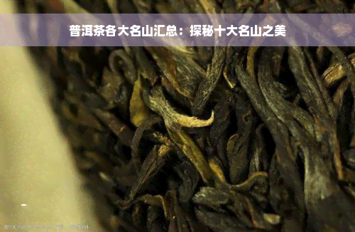 普洱茶各大名山汇总：探秘十大名山之美