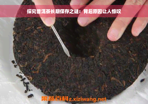 探究普洱茶长期保存之谜：背后原因让人惊叹