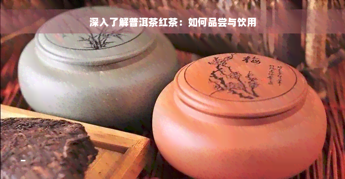 深入了解普洱茶红茶：如何品尝与饮用