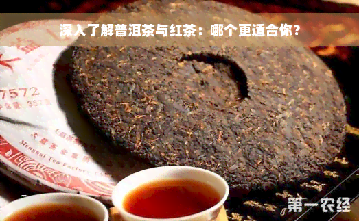 深入了解普洱茶与红茶：哪个更适合你？