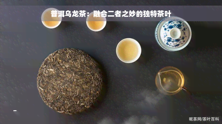 普洱乌龙茶：融合二者之妙的独特茶叶