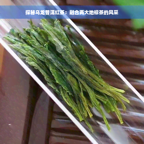 探秘乌龙普洱红茶：融合两大地标茶的风采