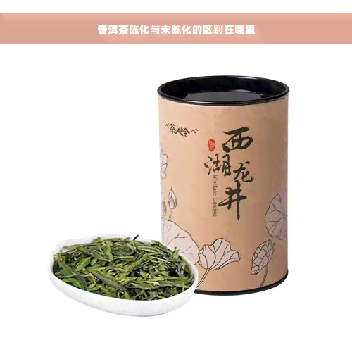 普洱茶陈化与未陈化的区别在哪里