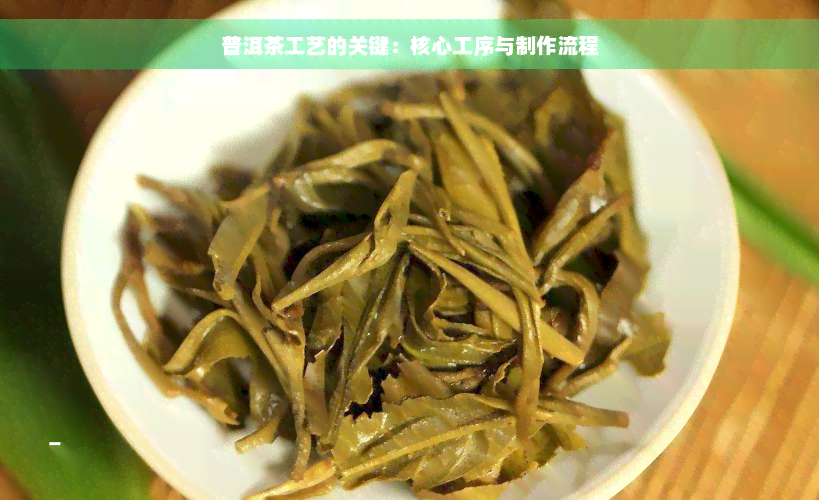 普洱茶工艺的关键：核心工序与制作流程