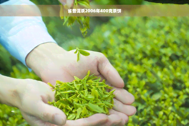 雀普洱茶2006年400克茶饼