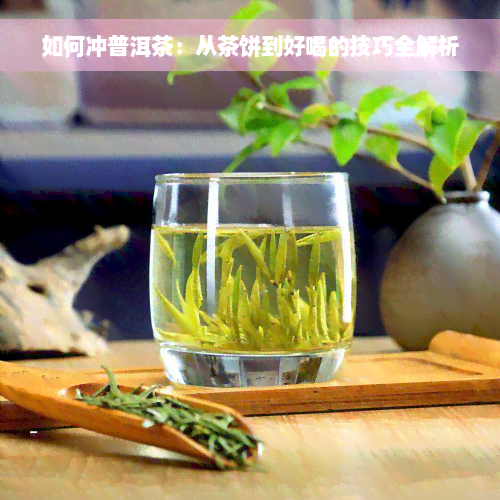 如何冲普洱茶：从茶饼到好喝的技巧全解析