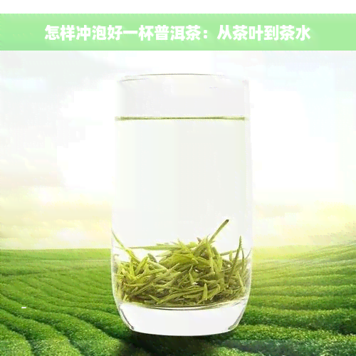 怎样冲泡好一杯普洱茶：从茶叶到茶水