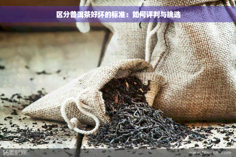 区分普洱茶好坏的标准：如何评判与挑选